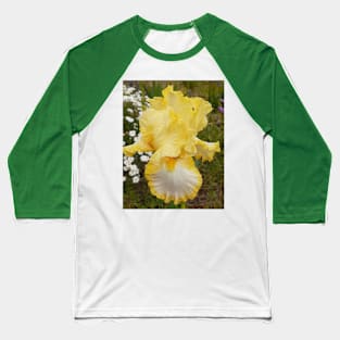 Yellow Iris Flower Baseball T-Shirt